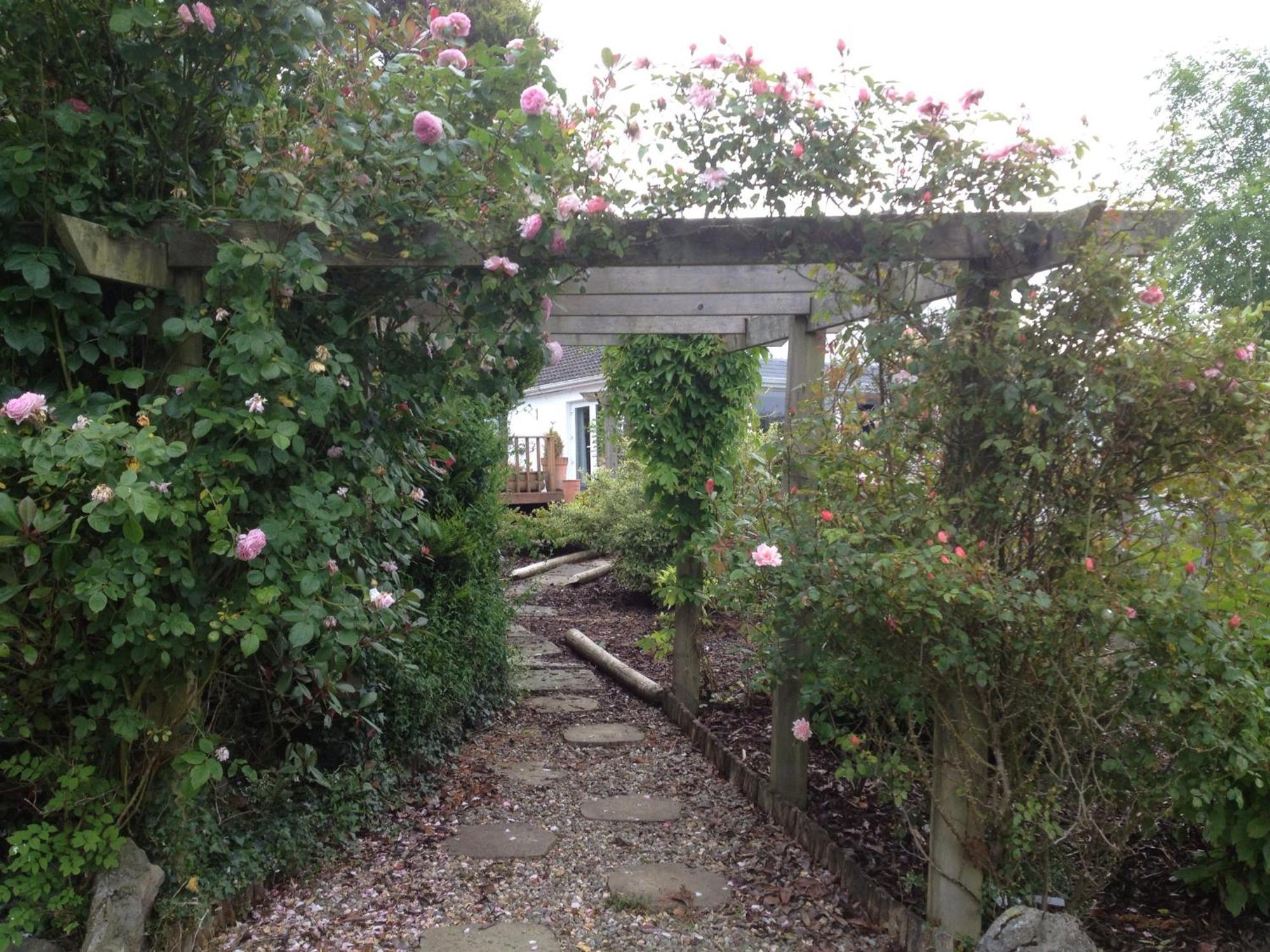 The Cottage @ Burkedale House Corofin  Exterior foto